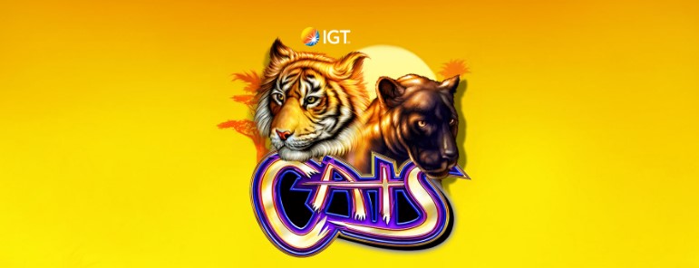 Unleash the Adventure: Wild Cats Slots – A Gambler’s Guide to Roaring Wins
